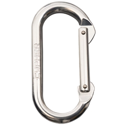 Cypher Oval Carabiner Silver