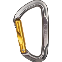 Cypher Oval Locking Carabiner